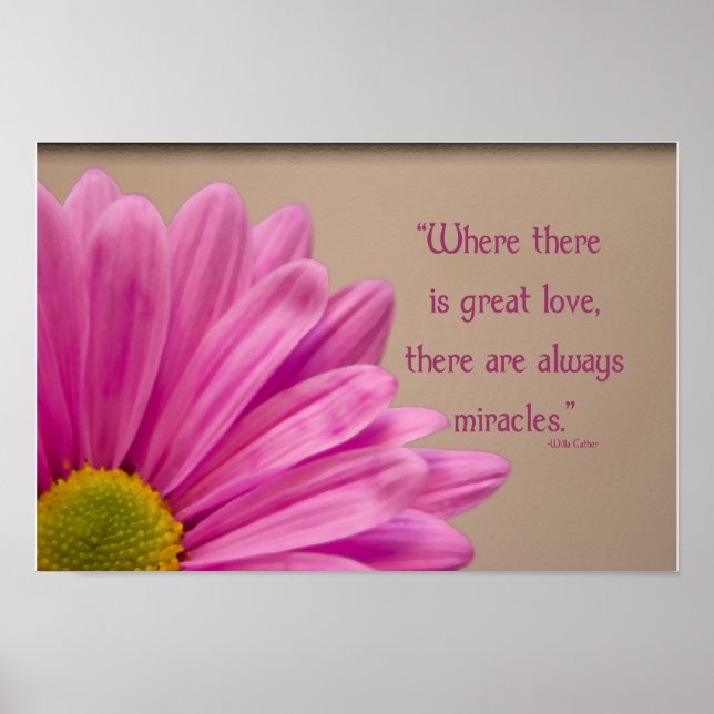 Poster Miracles rose Gerber Daisy (Devant)