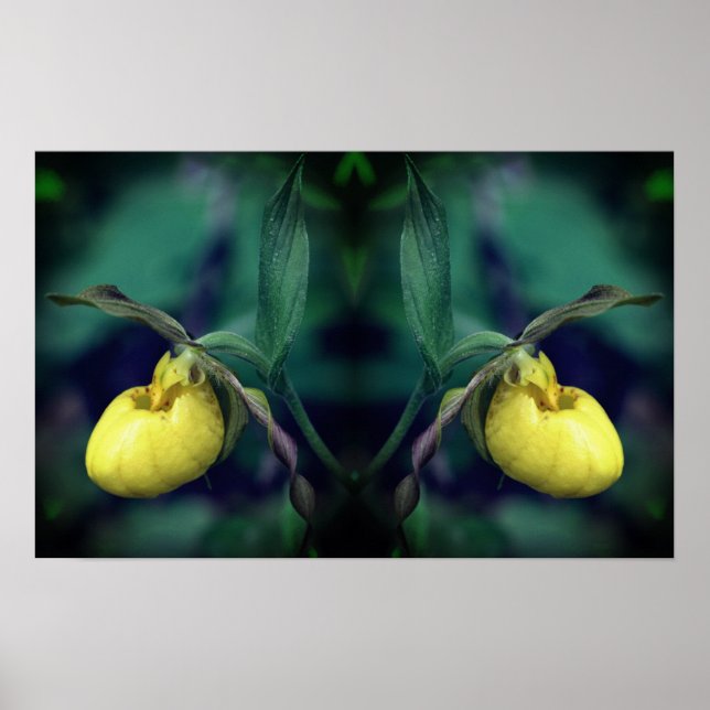 Poster Miroir à fleurs de chèvre jaune Abstrait (Devant)