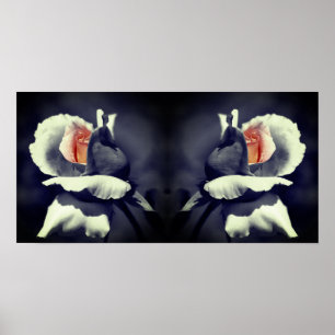 Poster Miroir De Couleur Partielle Noir Et Blanc De Roseb
