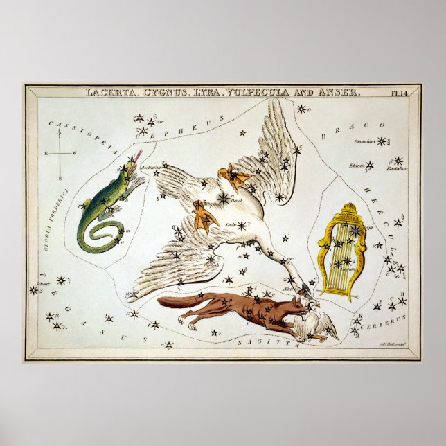Poster Miroir de l'Uranie - Lacerta, Cygnus, Lyra, Vulpec (Devant)