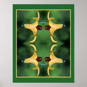 Poster Miroir De Lys Et D'Insectes Du Canada Sauvage Abst