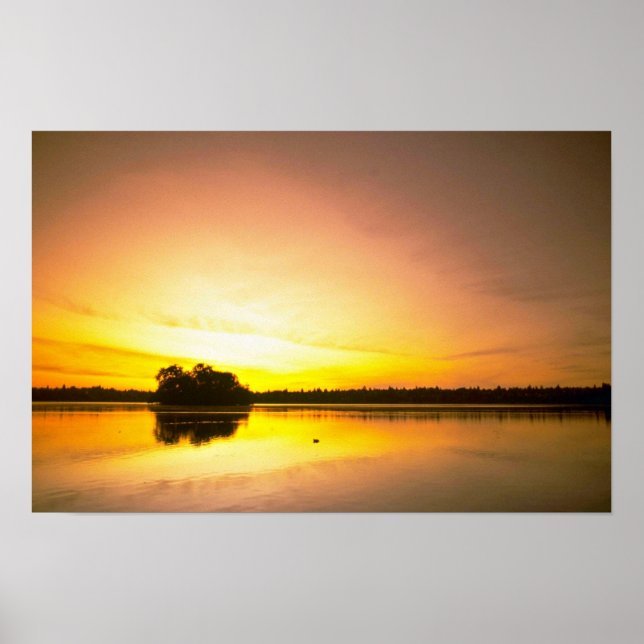 Poster Miroir d'eau (Devant)