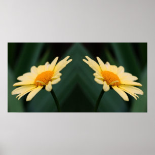 Poster Miroir Fleur Jaune Fleur Abstrait