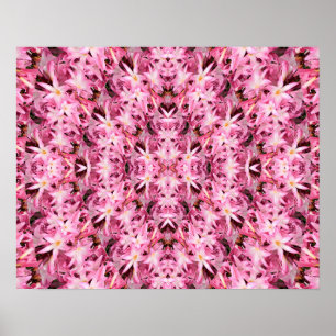Poster Miroirs d'Amaryllis....