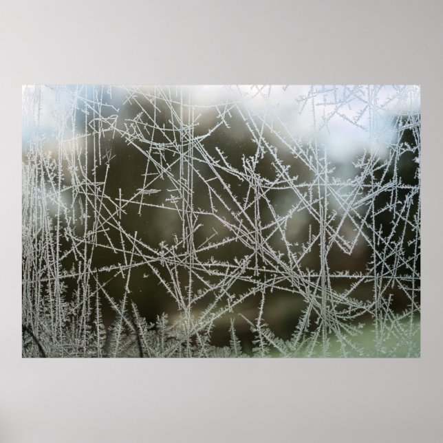 Poster Mise au point sélective des flocons de neige (Devant)