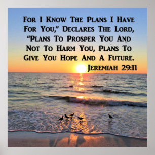 POSTER MISE EN LIGNE DE JEREMIAH 29:11 SCELER