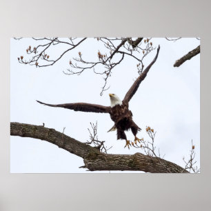 Poster Mise en oeuvre