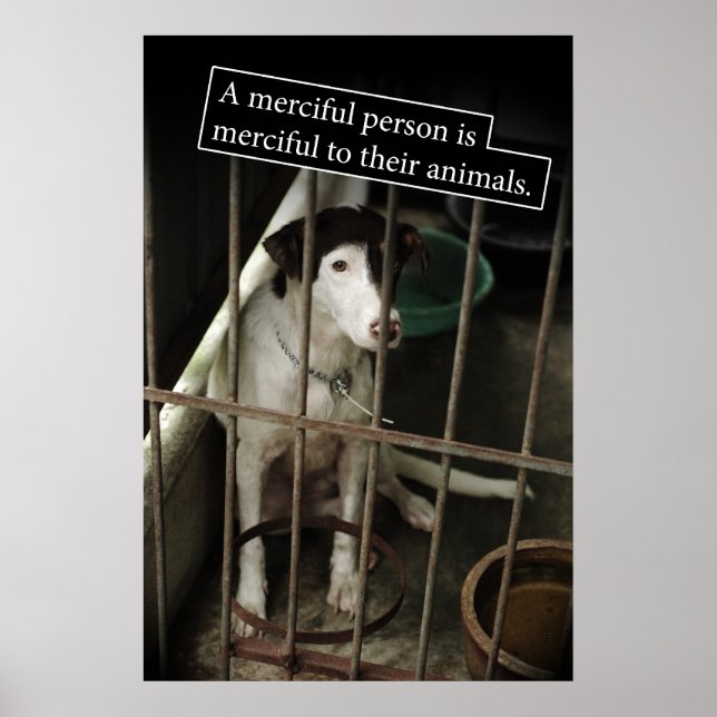 Poster Miséricordieux aux animaux (Devant)
