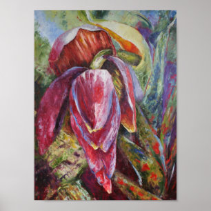 Poster Miss Dominica