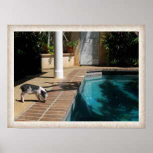 Poster Miss Piggy au paradis
