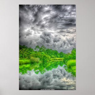 Poster Mississippi Bayou