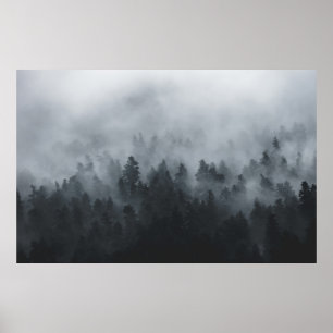 POSTER MISTY FOREST