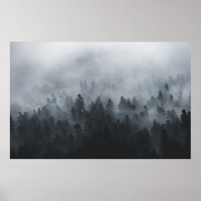 POSTER MISTY FOREST (Devant)