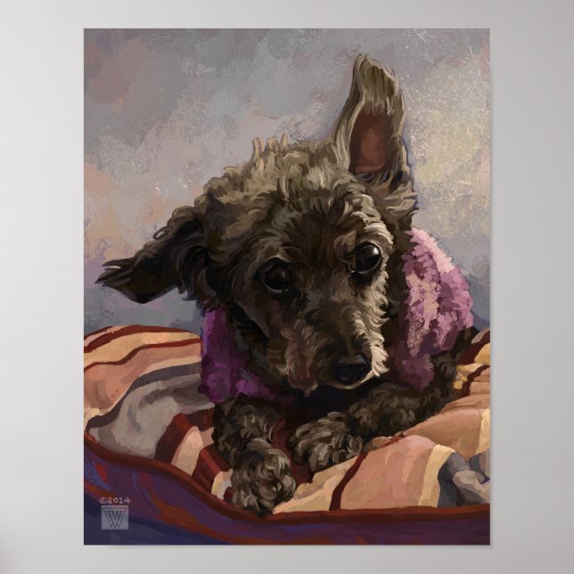 Poster Misty le Caniche (Devant)