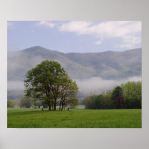 Poster Misty meadow and Rich Mountain, Cades Cove,