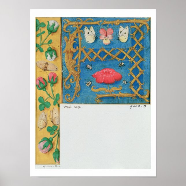 Poster Mme 134 Lettre illuminée `A' et bordure latérale d (Devant)
