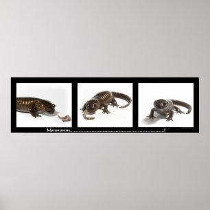 Poster Mmmmmmmmmmm...........................!