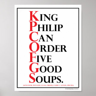 Poster Mnémonique : King Philip = Identification de l'esp