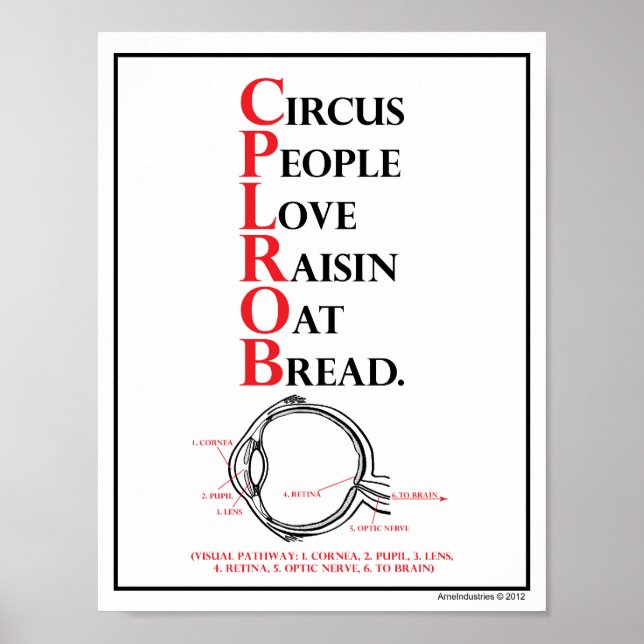 Poster Mnémonique : Les gens du cirque aiment = Chemin vi (Devant)