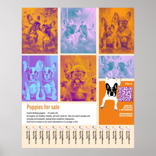 Poster Modèle d'affiche de chiots à vendre 6 images Code  (Devant)