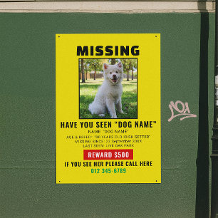 Poster Modèle d'alerte de chien disparu urgent