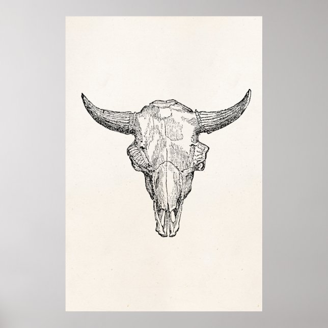 Poster Modèle d'antiquité du crâne de bison européen vint (Devant)