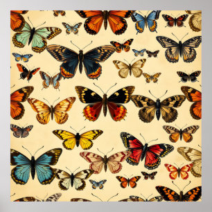 Poster Modèle de collection de papillons vintage