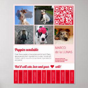 Poster Modèle de flyer à imprimer pour la vente de chiots