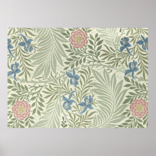 Poster Modèle de papier peint floral Larkspur de William