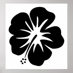 Poster Modèle Hibiscus