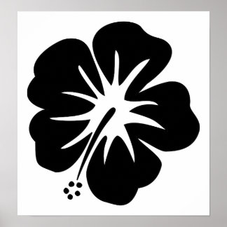 Poster Modèle Hibiscus