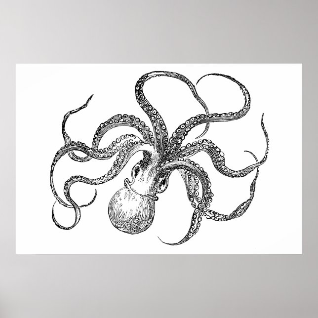 Poster Modèle Octopus vintage (Devant)