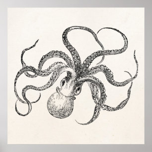 Poster Modèle Octopus vintage sur papier antique