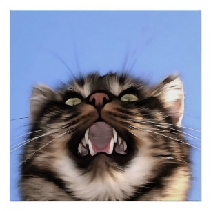 Poster Modèle Plaintif D'Une Peinture Acrylique Tabby Cha