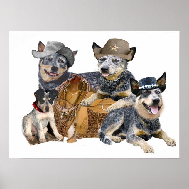 Poster modèle western (Devant)