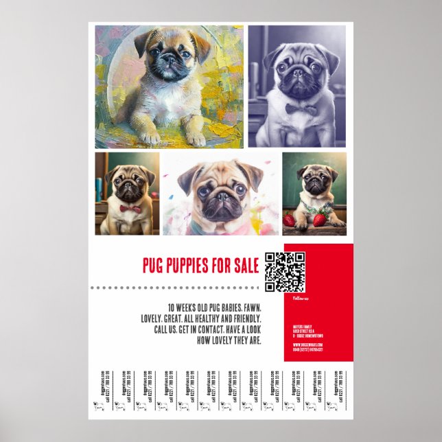 Poster Modèles d'affiche de vente de chiots Pug (Devant)