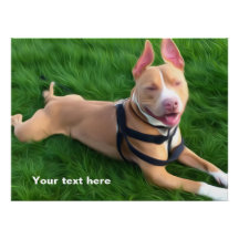 Poster moderne avec Pit bull dog sur l'herbe verte