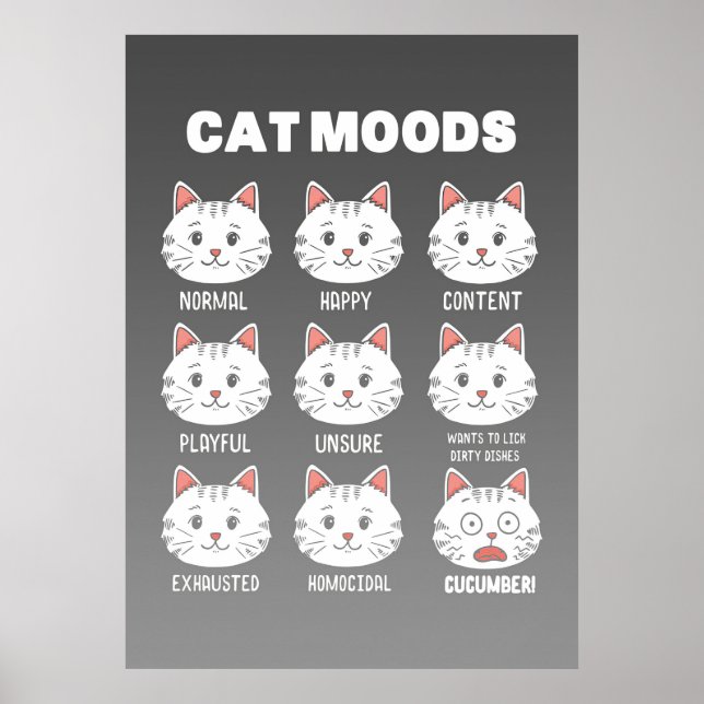 Poster Moeurs de chats Amoureux de les chats (Devant)