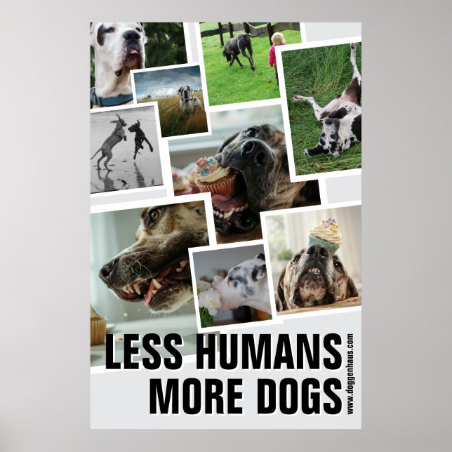 Poster Moins d'humains, plus de chiens  (Devant)