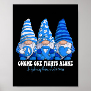 Poster Mois de sensibilisation à l'hydrocéphalie Gnomes d