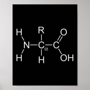 Poster Molécule Protéine - Gymnase Et Chimie Construction