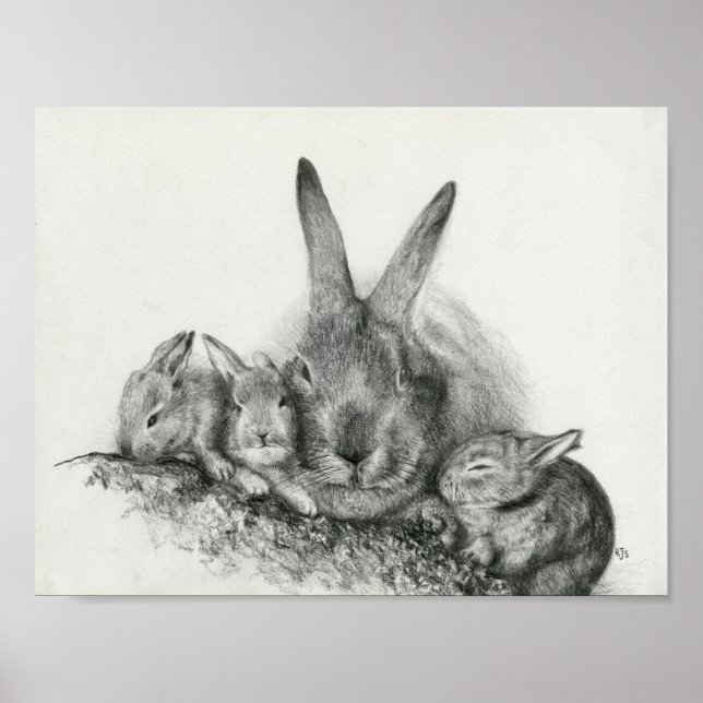 Poster Momma Rabbit Avec Bébé Bunnies Crayon Dessin (Devant)