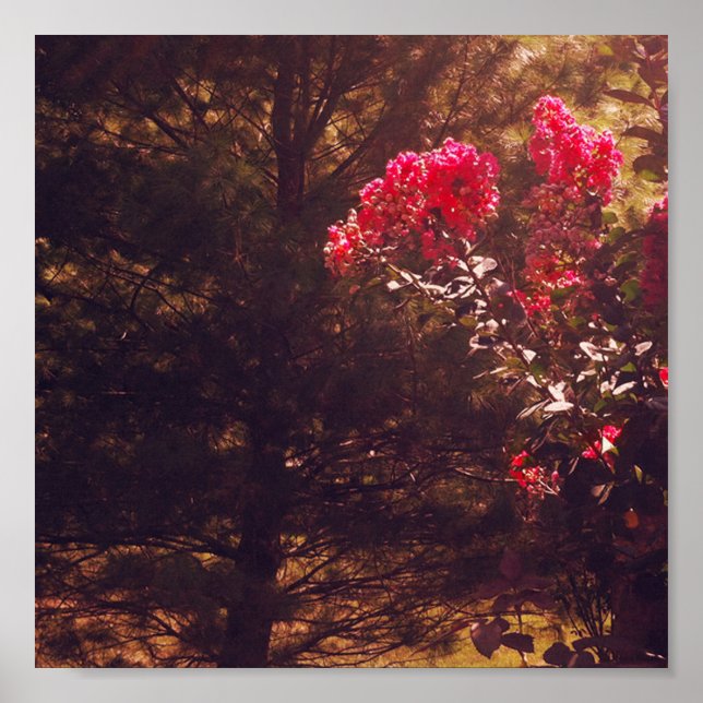 Poster Mom's Garden Print (Devant)