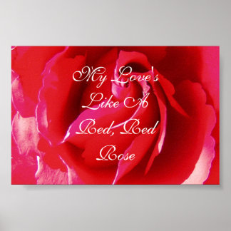 Poster Mon amour est comme une rose rouge