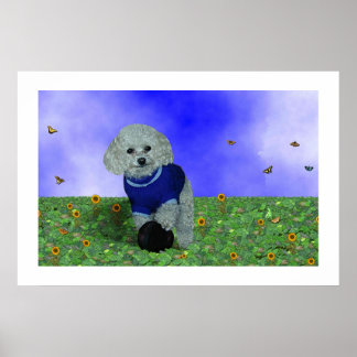 Poster Mon caniche et sa balle.