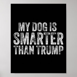 Poster Mon chien est plus intelligent que Trump drôle ant