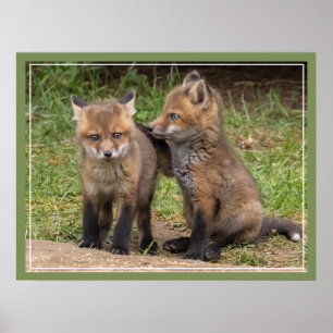 Poster Mon frère/ma sœur mon ami