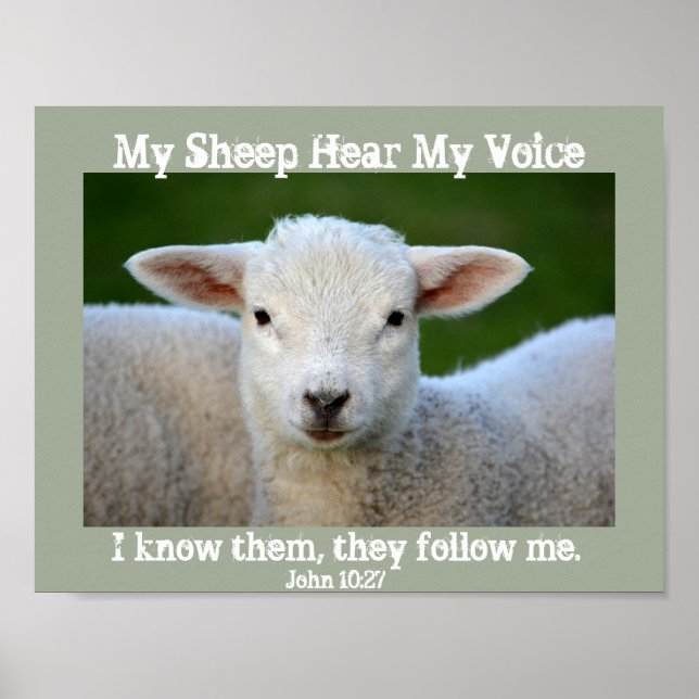 Poster Mon Mouton Entend Ma Voix, La Bible Verse Jean 10: (Devant)