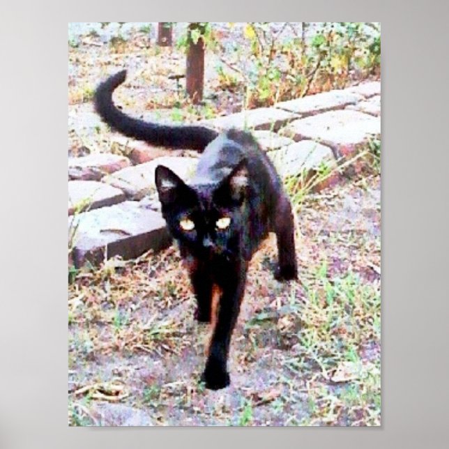 Poster Mon nom est Kitty (Devant)