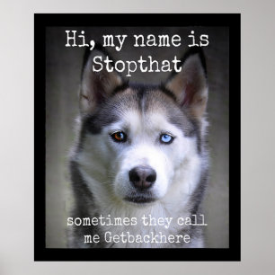 Poster Mon nom est Stop si drôle Hyper Siberian Husky